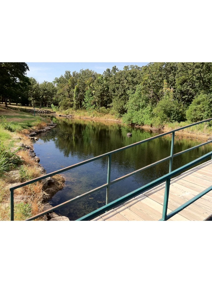 Blast, 125,000 Gallon, 12 Packets - Image 3