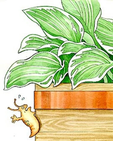 Copper Slug Tape - Image 3