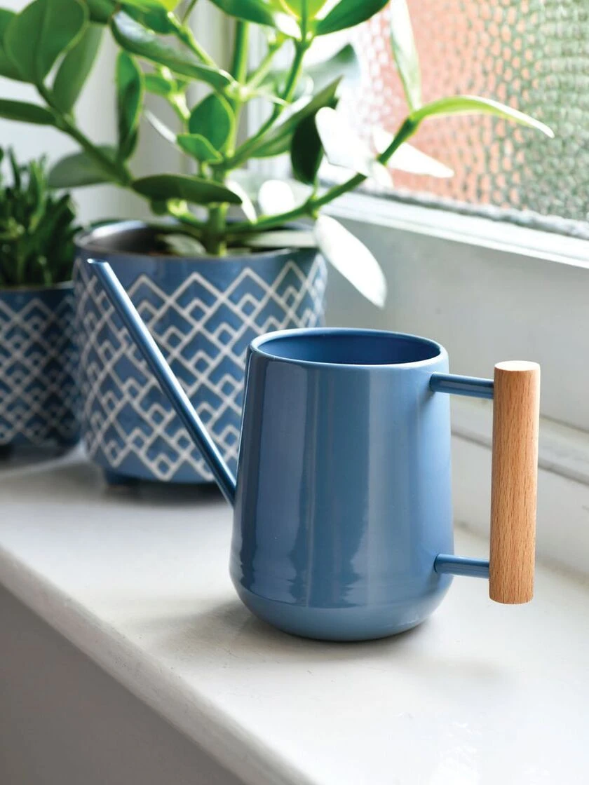 Pinpoint Indoor Watering Can - Image 2