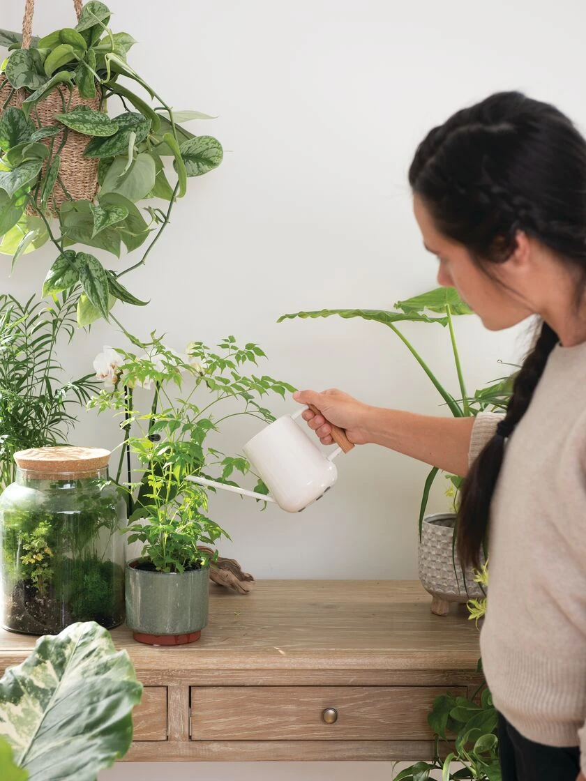 Pinpoint Indoor Watering Can - Image 5