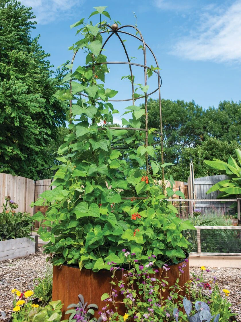 Jardin Tower - Image 2