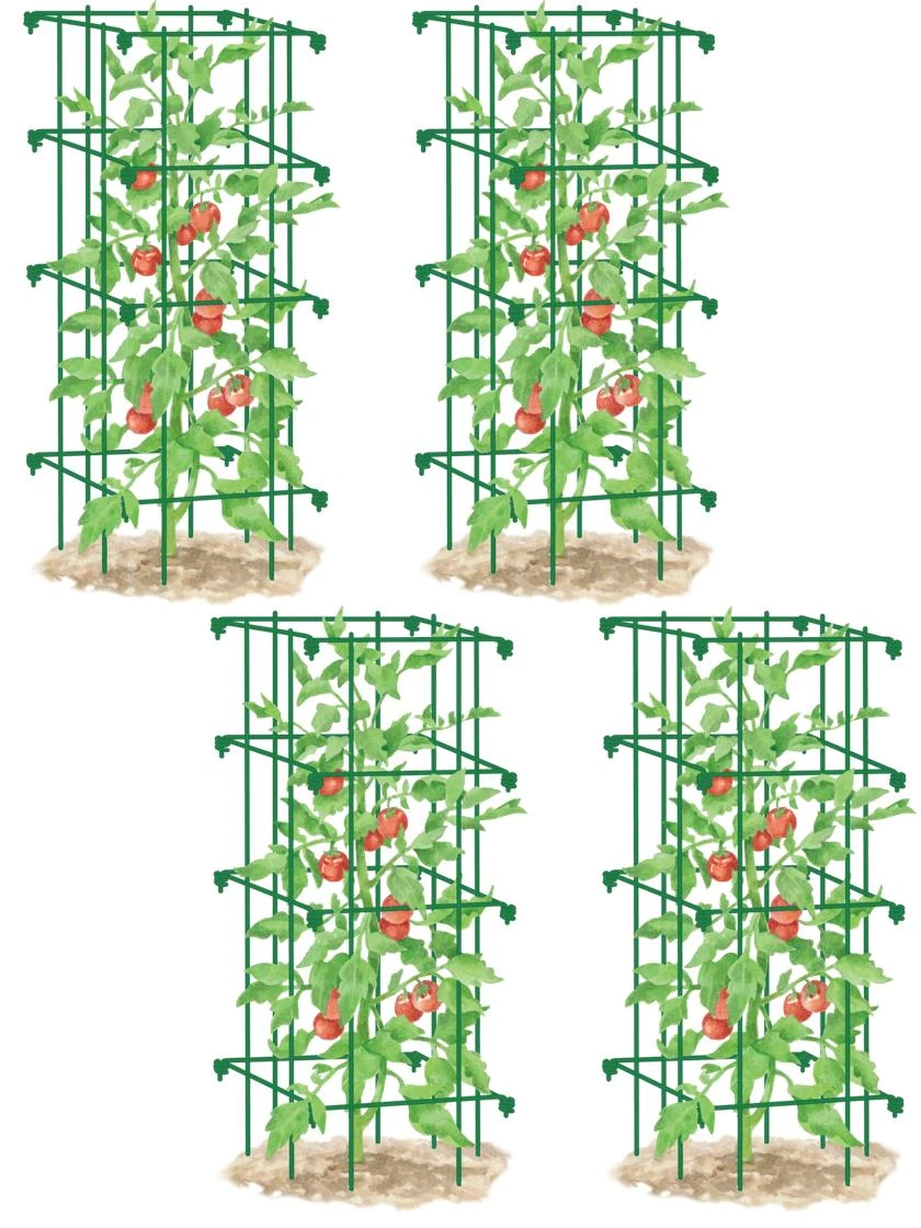 Tomato Cages, Set Of 4 - Image 5