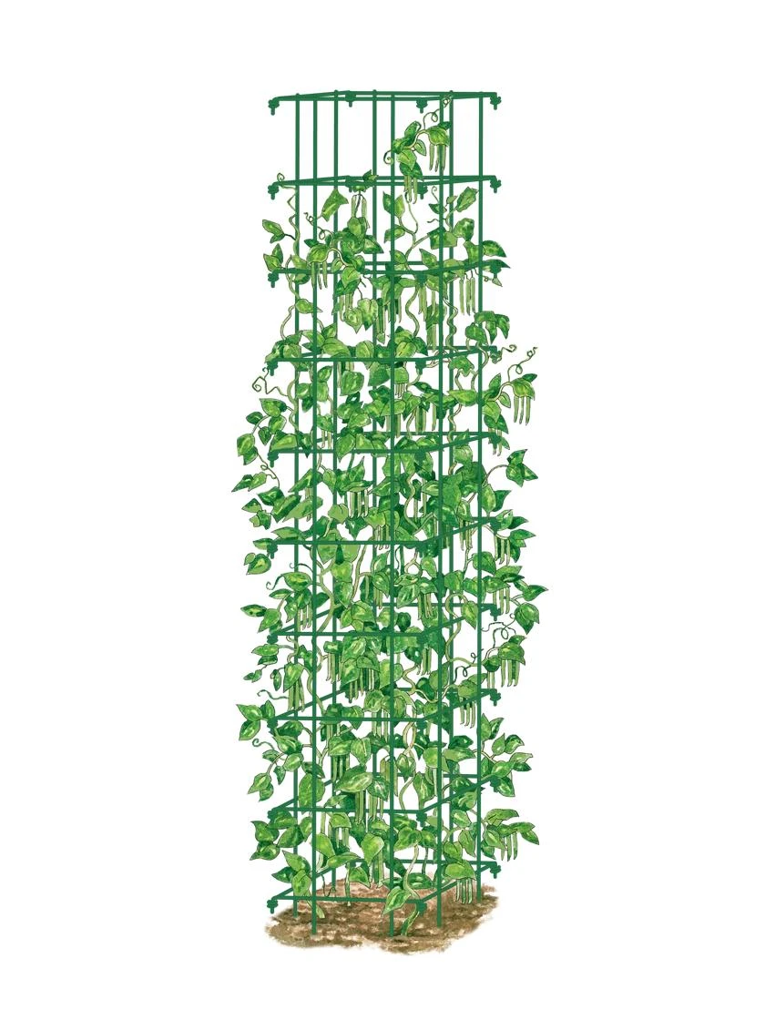 Bean Tower - Image 5