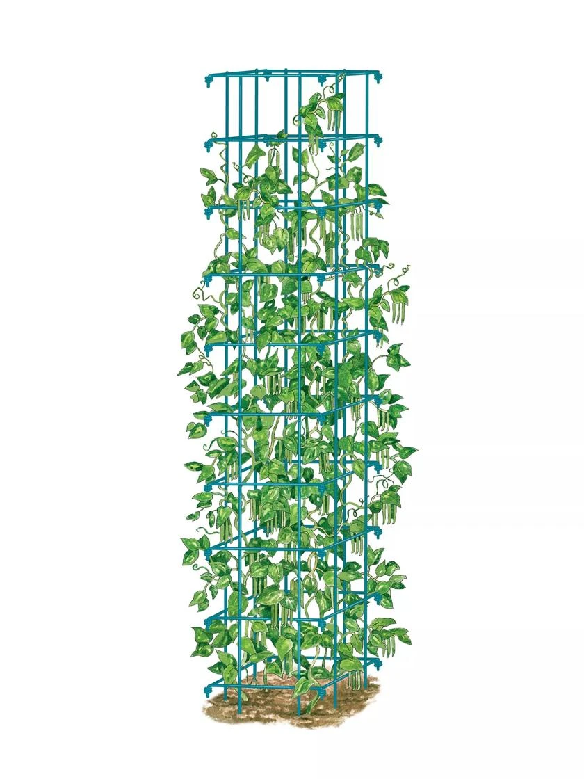 Bean Tower - Image 6
