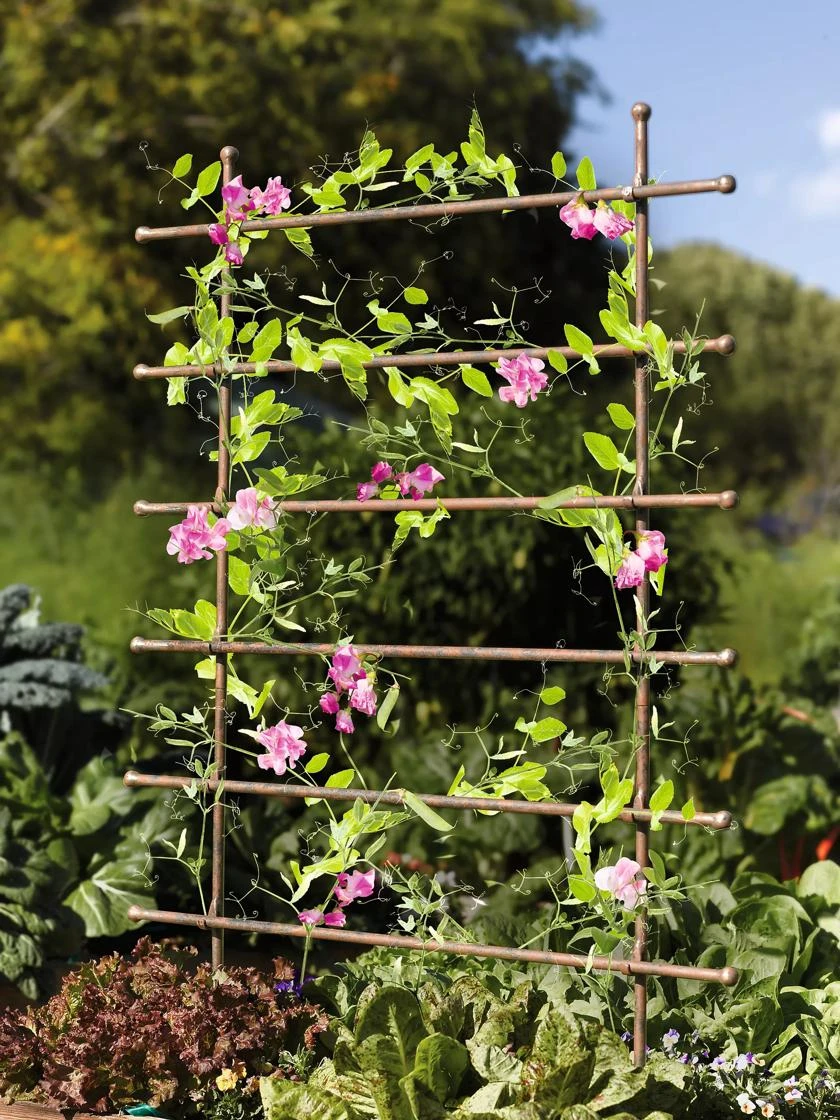 Jardin Ladder Trellis - Image 3