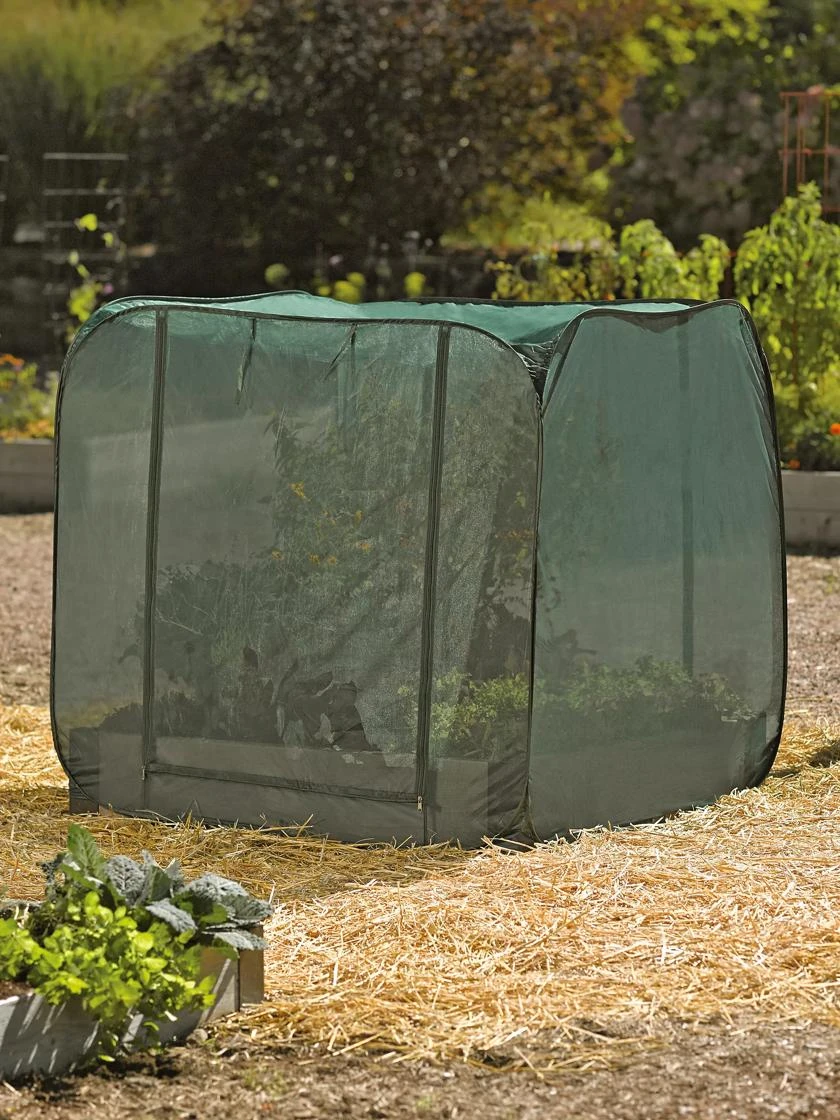 Pest Control Pop-Ups - Image 4