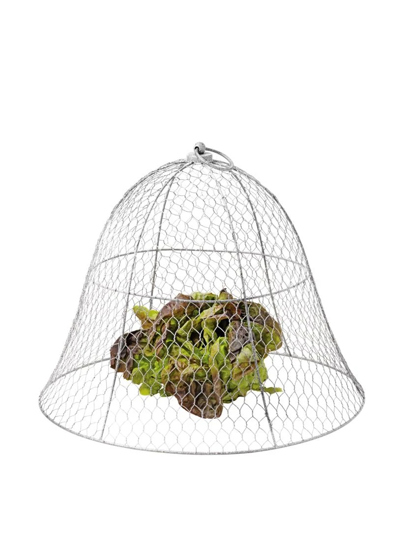 Chicken Wire Cloche - Image 9