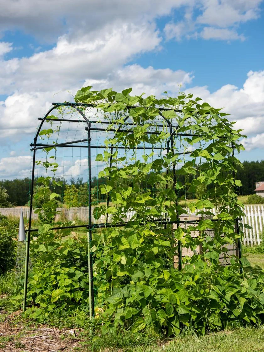 Titan Squash Tunnel - Image 5