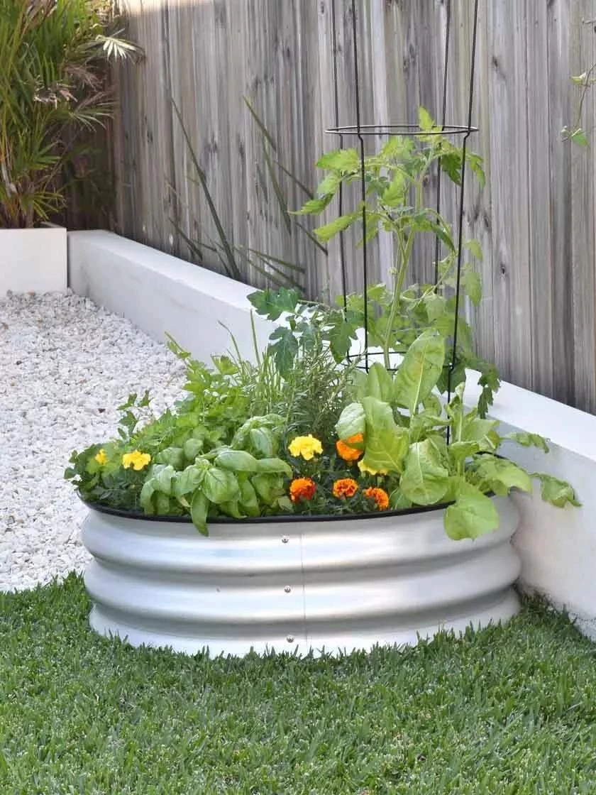 Tree Surround - Image 3