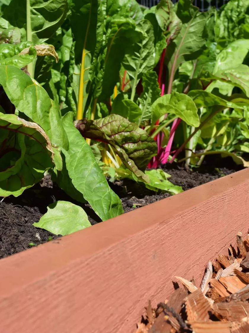 Straight Landscape Edging Kit With 2" Boards - Image 3