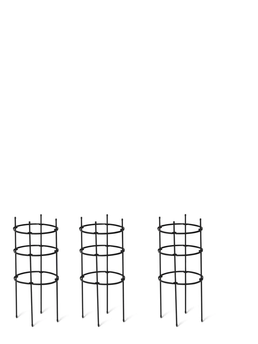 Titan Pepper Eggplant Cages, Set Of 3 - Image 2