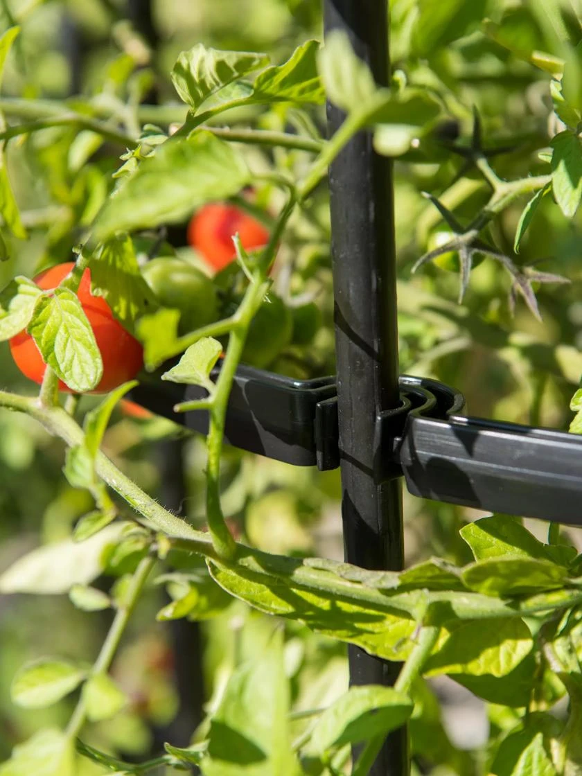 Titan Tomato Cages, Set Of 3 - Image 7
