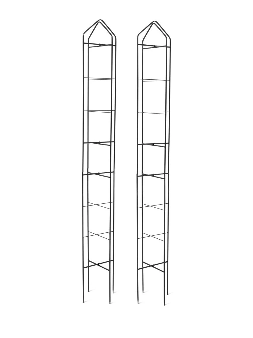 Zenith Folding Garden Supports, Set Of 2 - Image 9