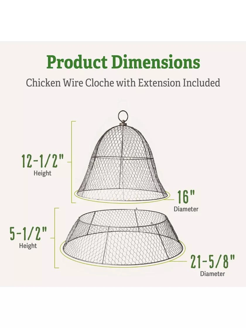 Chicken Wire Cloche With Extension - Image 3