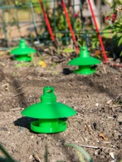 Slug And Snail Traps, Set Of 3