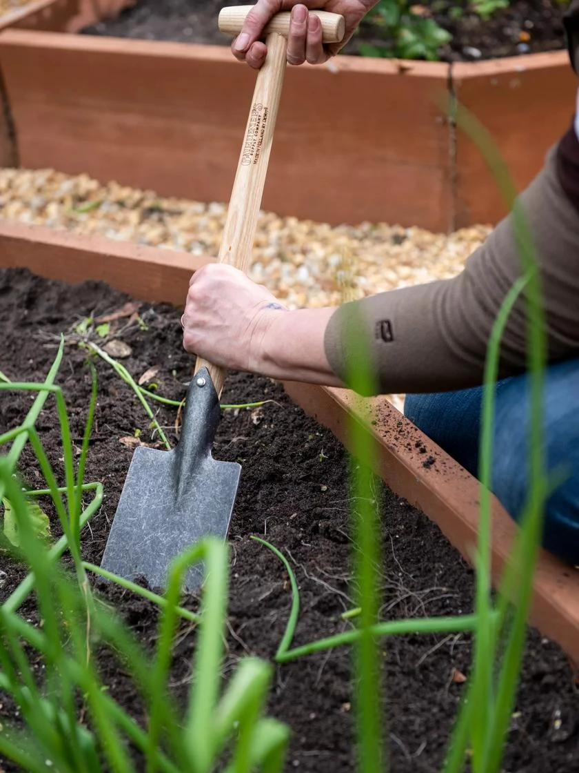 Gardener’s Lifetime Perennial Spade With Short T-Handle - Image 3