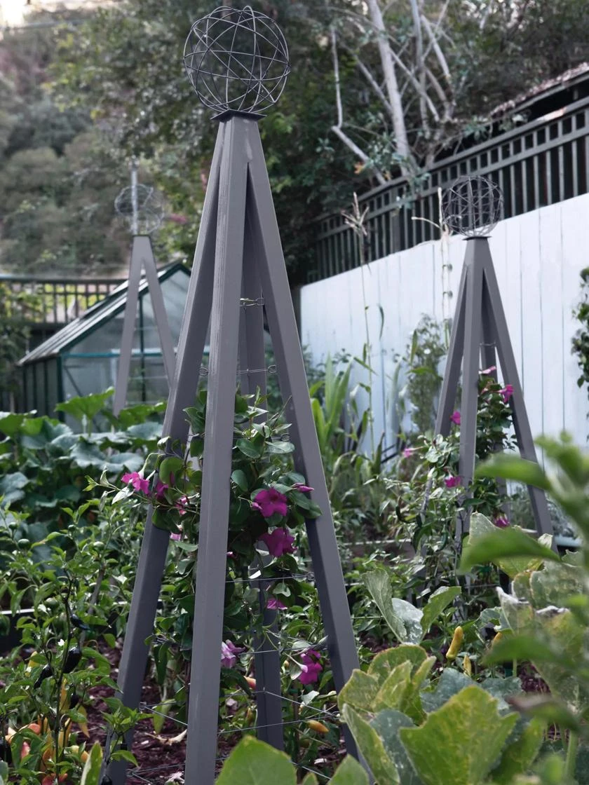 Akoris Garden Tuteur Sr. - Image 2