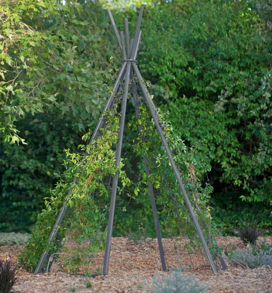 Annabel Tipi Trellis - Image 3