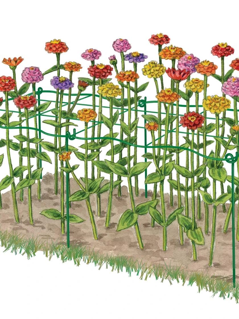 Cut Flower Grid Support, Set Of 2 - Image 4