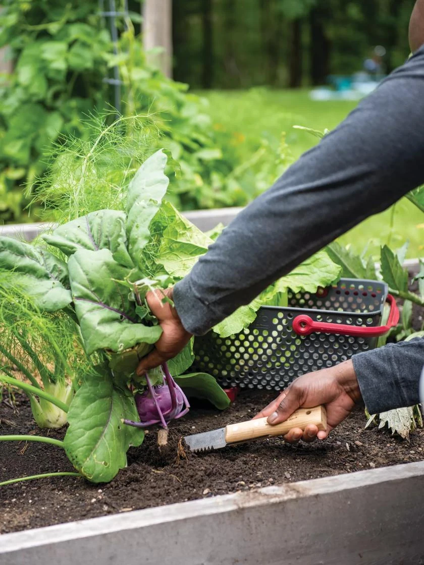 Gardener's Lifetime Hori Hori Knife - Image 3