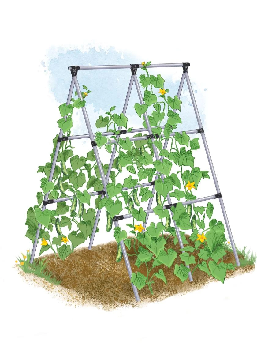 Connector Kit For DIY A Frame Plant Support - Image 2