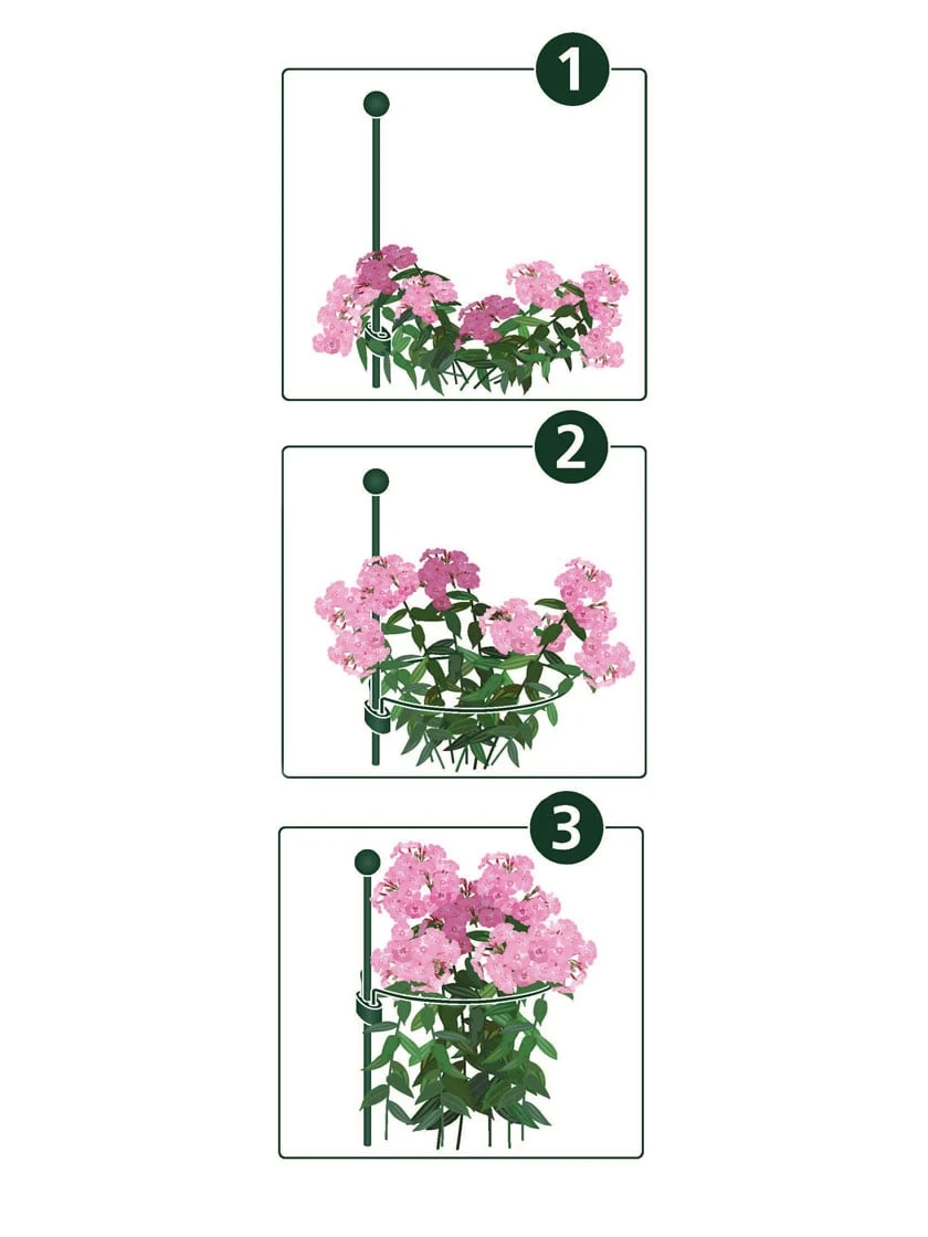 Peacock Mini Plant Support Rings 4", Set Of 2 - Image 2