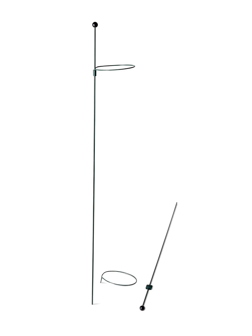 Peacock Mini Plant Support Rings 4", Set Of 2 - Image 5