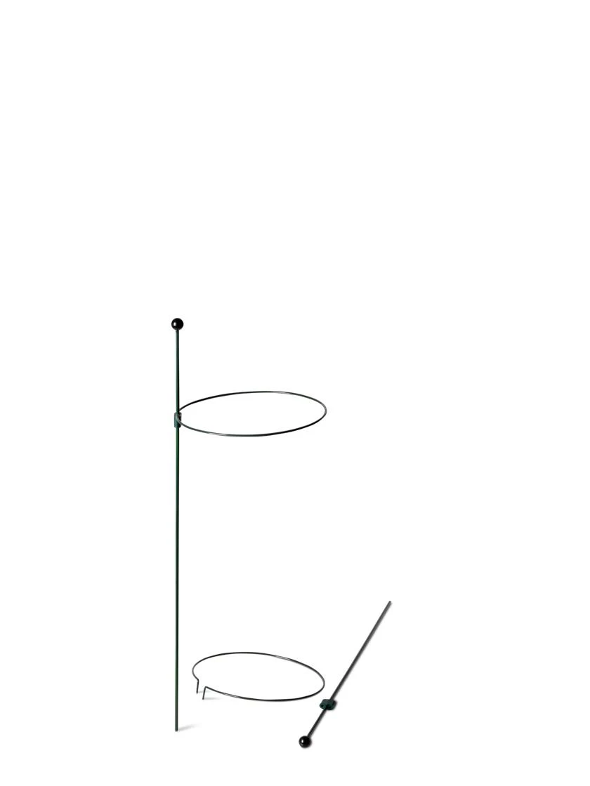 Peacock Mini Plant Support Rings 8", Set Of 2 - Image 6