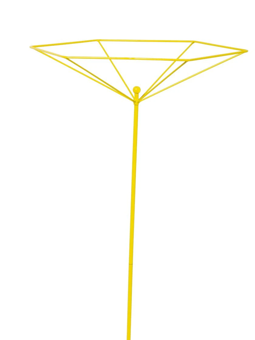 Parasol Plant Supports, Set Of 3 - Image 6