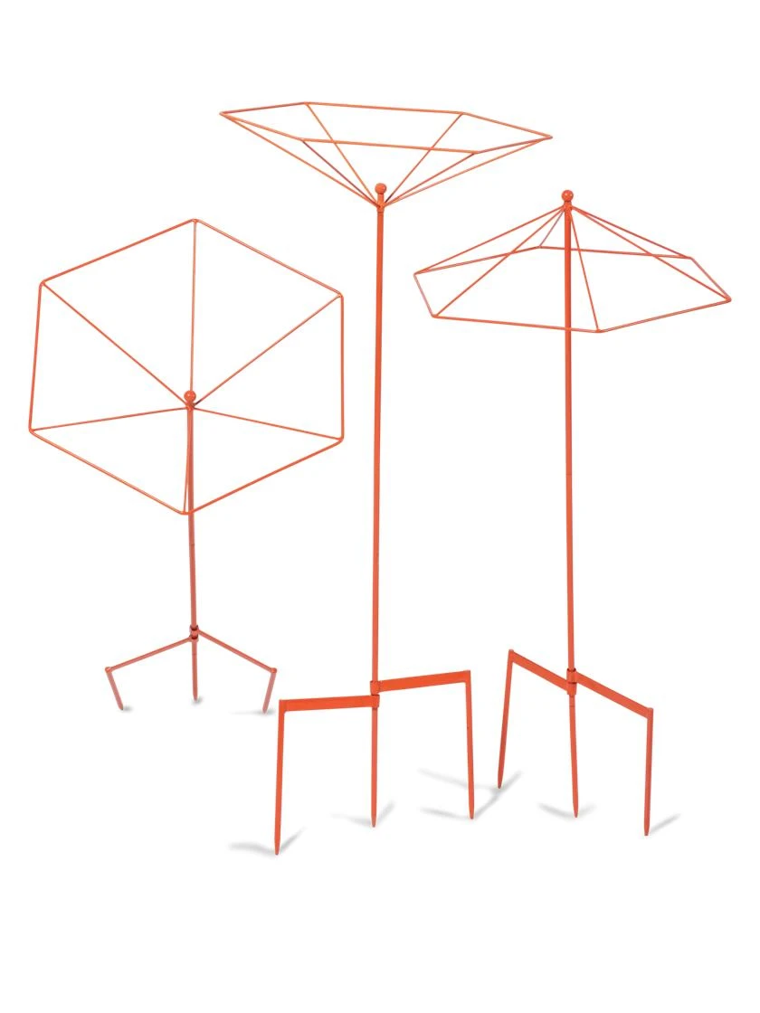 Parasol Plant Supports, Set Of 3 - Image 8