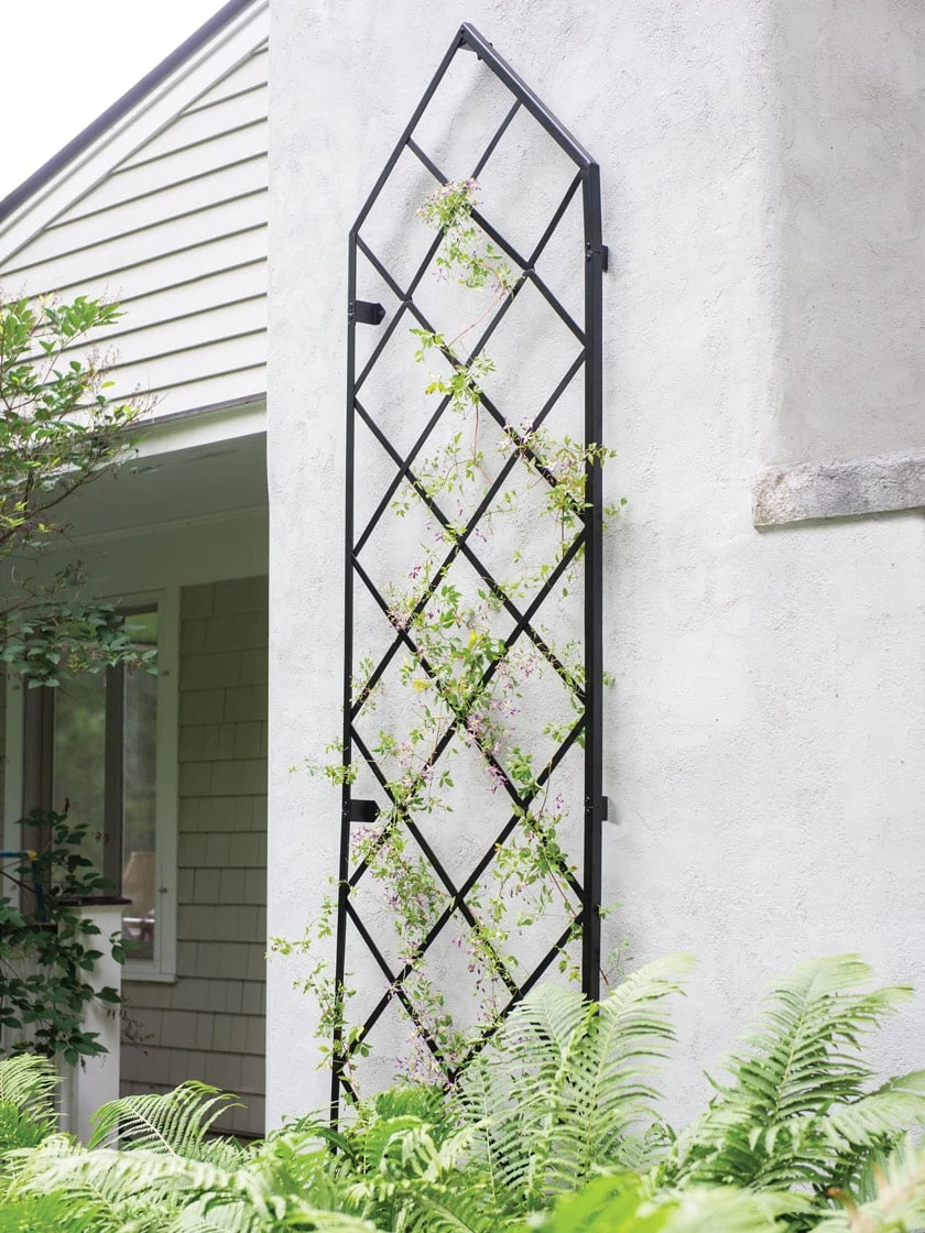Lattice Gable Wall Trellis