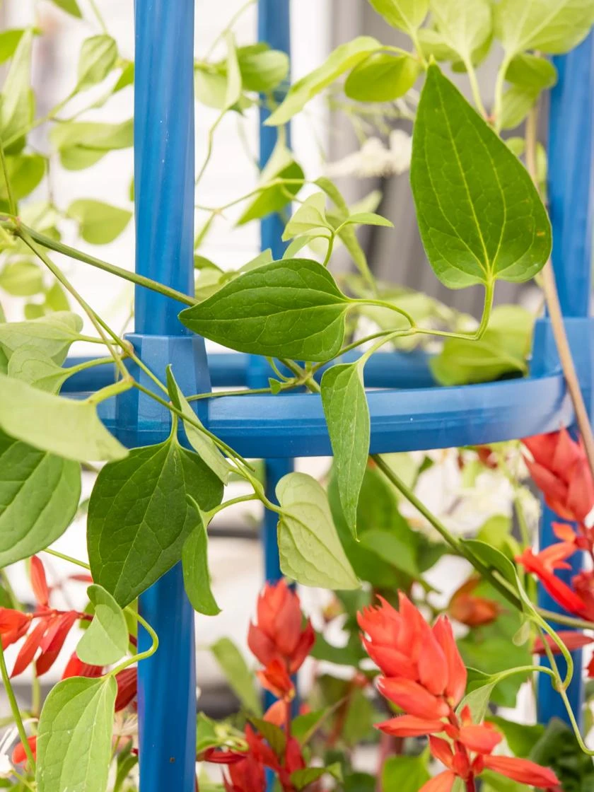 Fleur De Lis Obelisk, 67" - Image 3