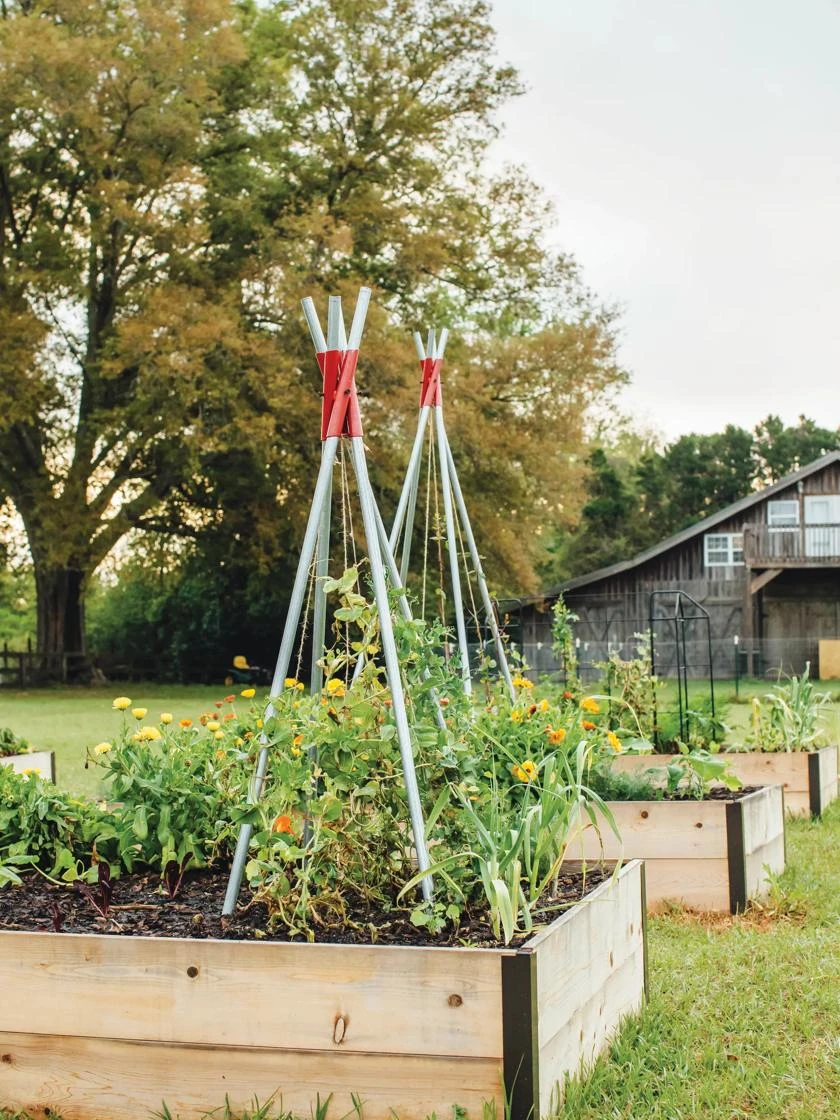 DIY Connector For Teepee Trellis - Image 7