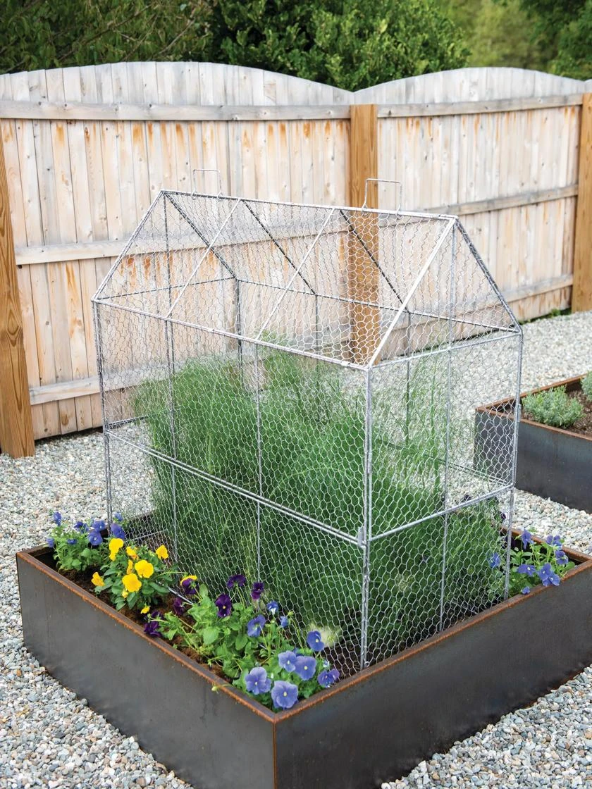 Chicken Wire Crop Coop Extension