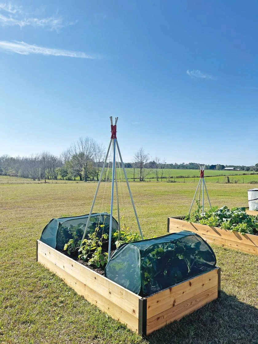 Insect And Pest Net Row Protector - Image 2