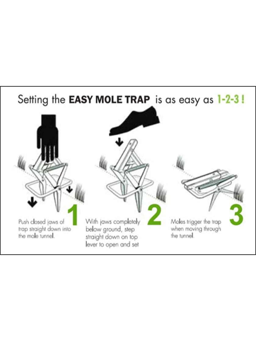 Easy Mole Trap - Image 3