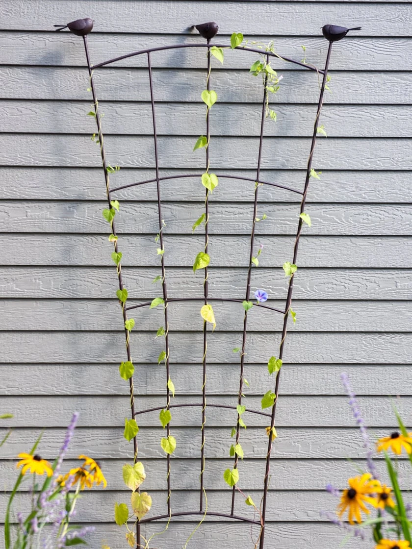 Flock Of Friends Wall Trellis
