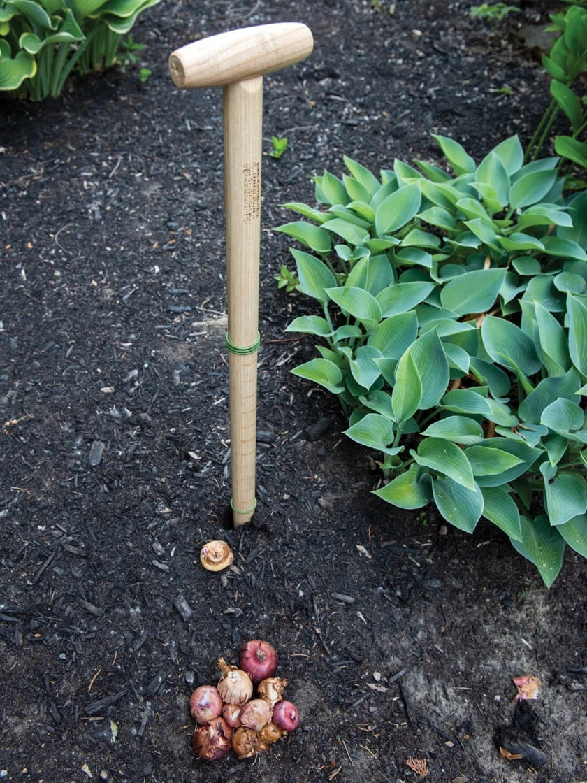 Wicked Big Dibber - Image 4