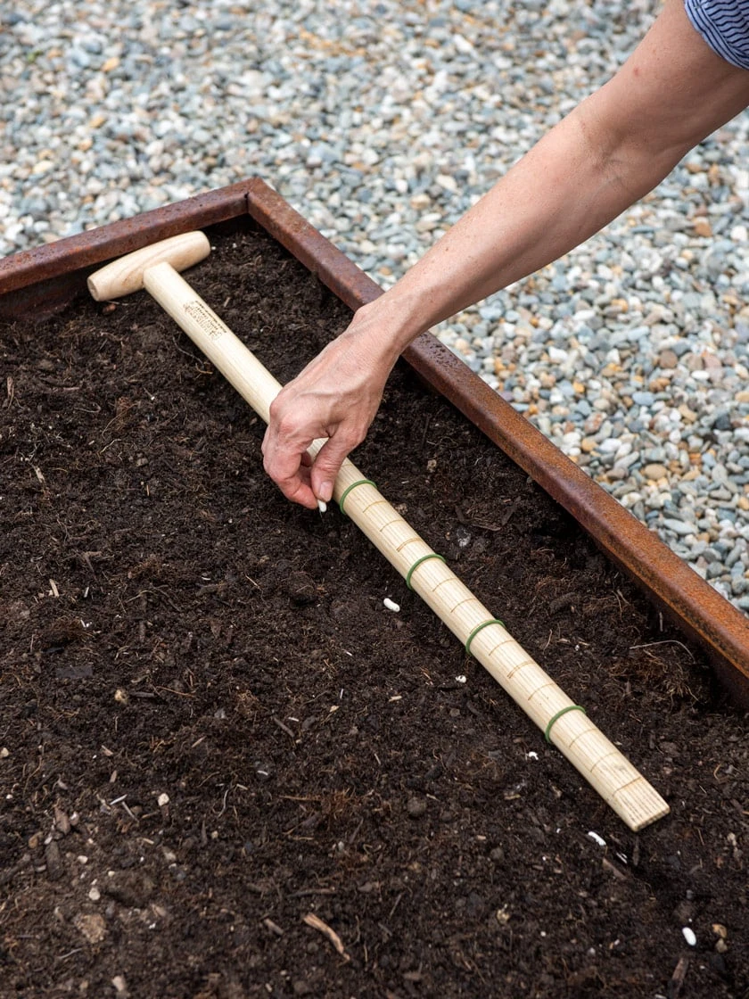 Wicked Big Dibber - Image 5