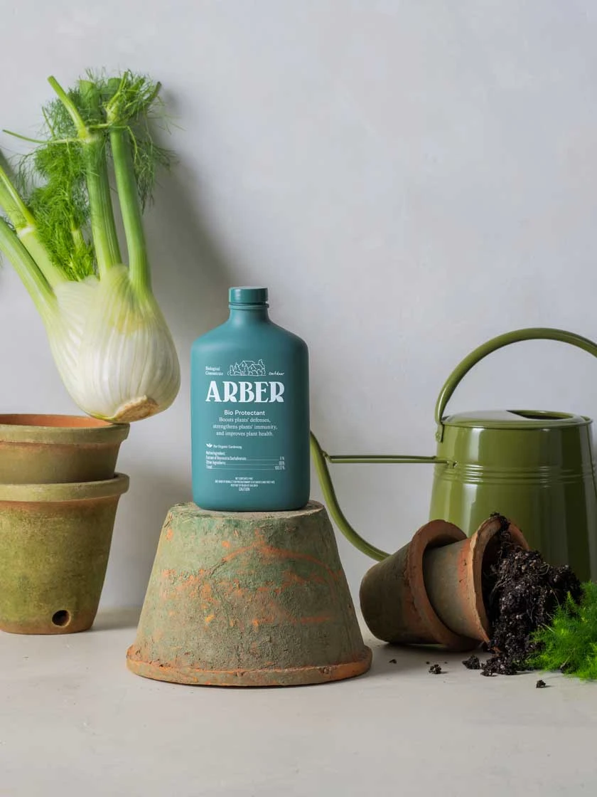 Organic Bio Protectant Outdoor - Image 4