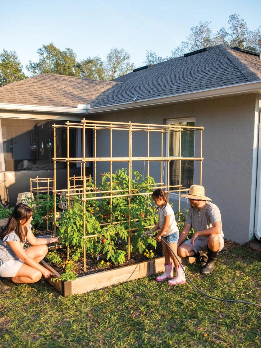 Tomato Six Pack Support - Image 4