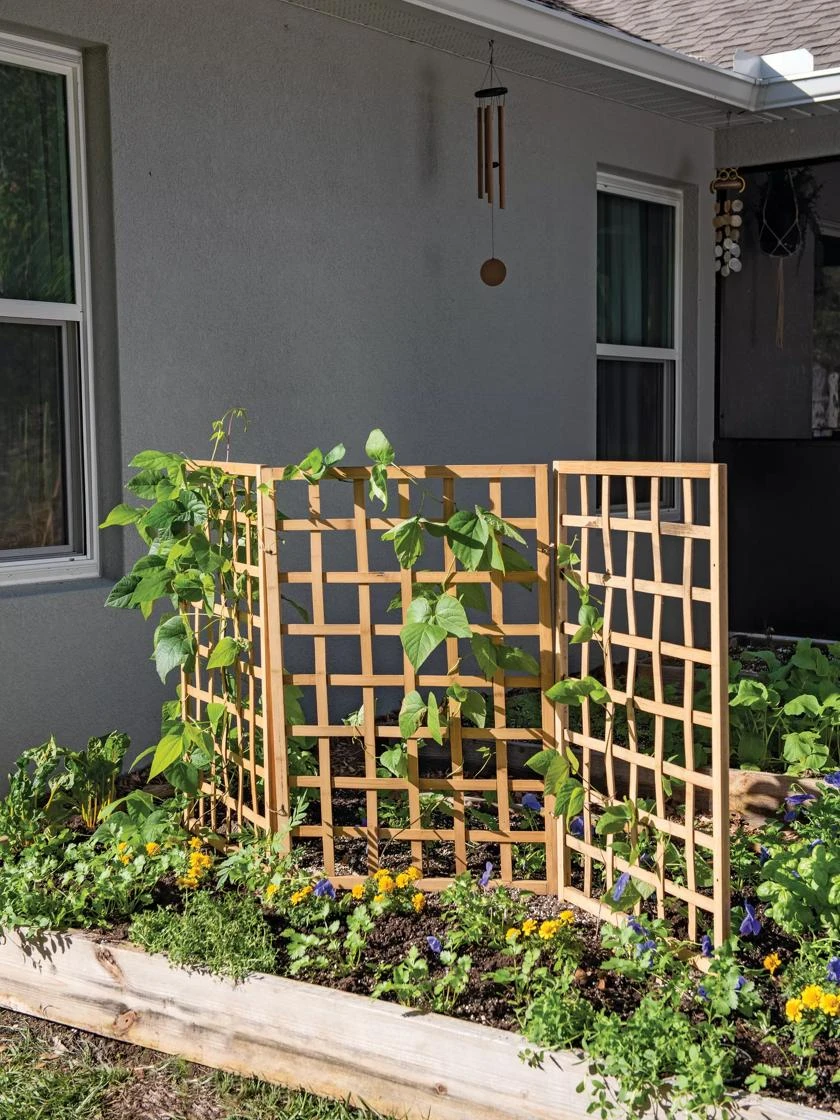 Bamboo Zig-Zag Trellis 24" X 36" - Image 2