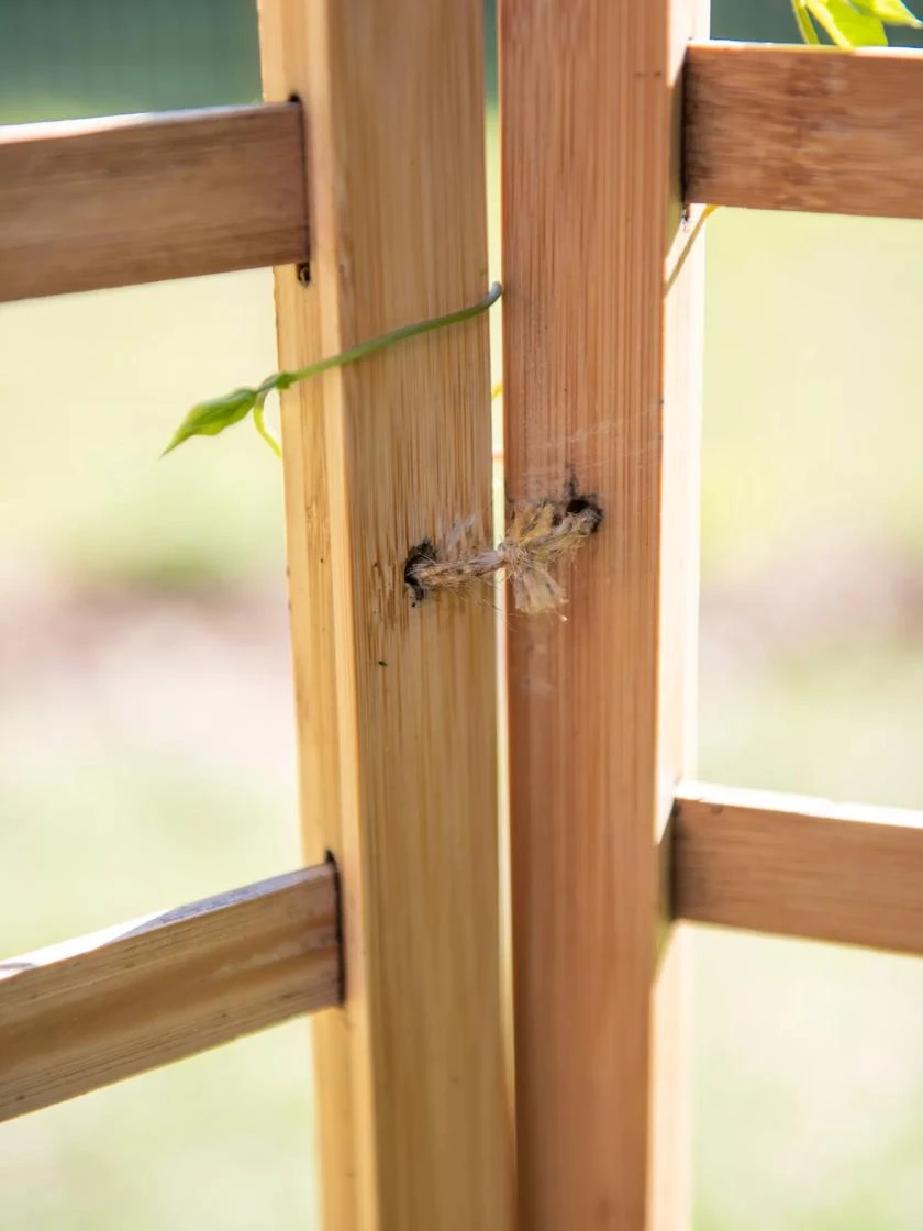 Bamboo Zig-Zag Trellis 24" X 36" - Image 5