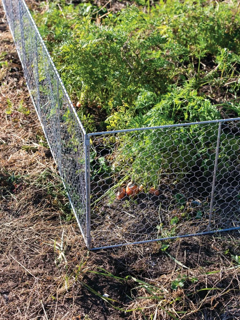 Chicken Wire Critter Fence, 16" High - Image 4
