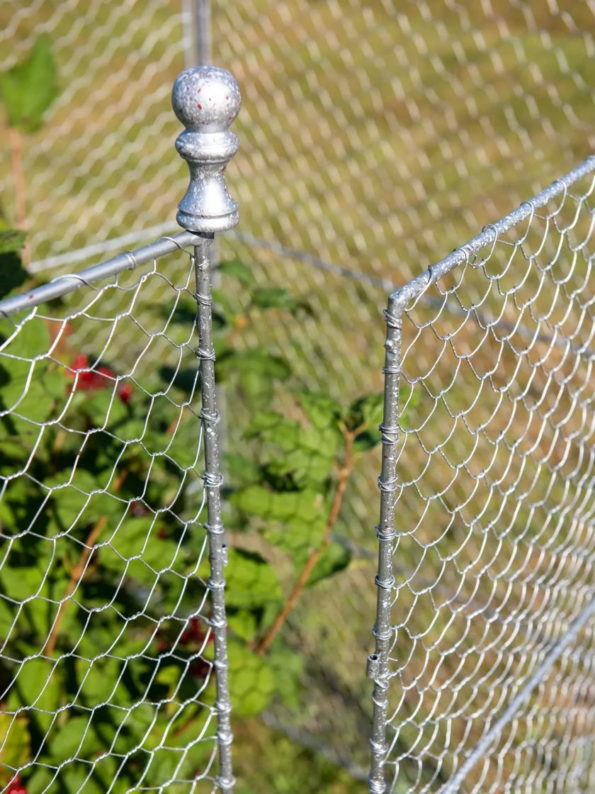 Tall Chicken Wire Critter Fence Extension Panel, Set Of 2 - Image 7