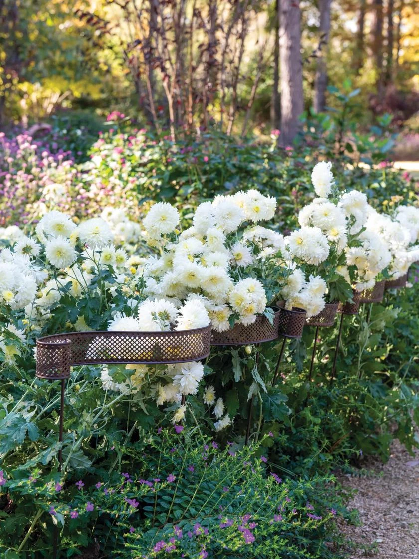 Scroll Linking Stakes, Set Of 3 - Image 2