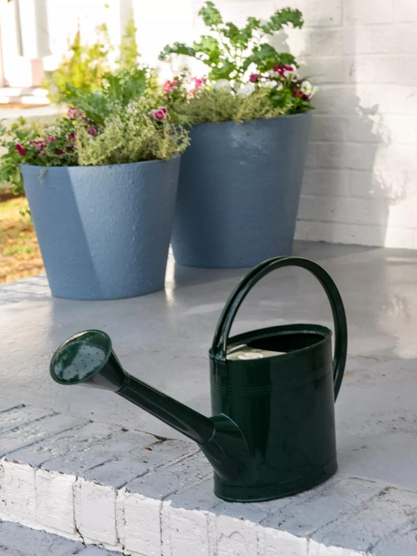 Long Reach Watering Can, Large - Image 2