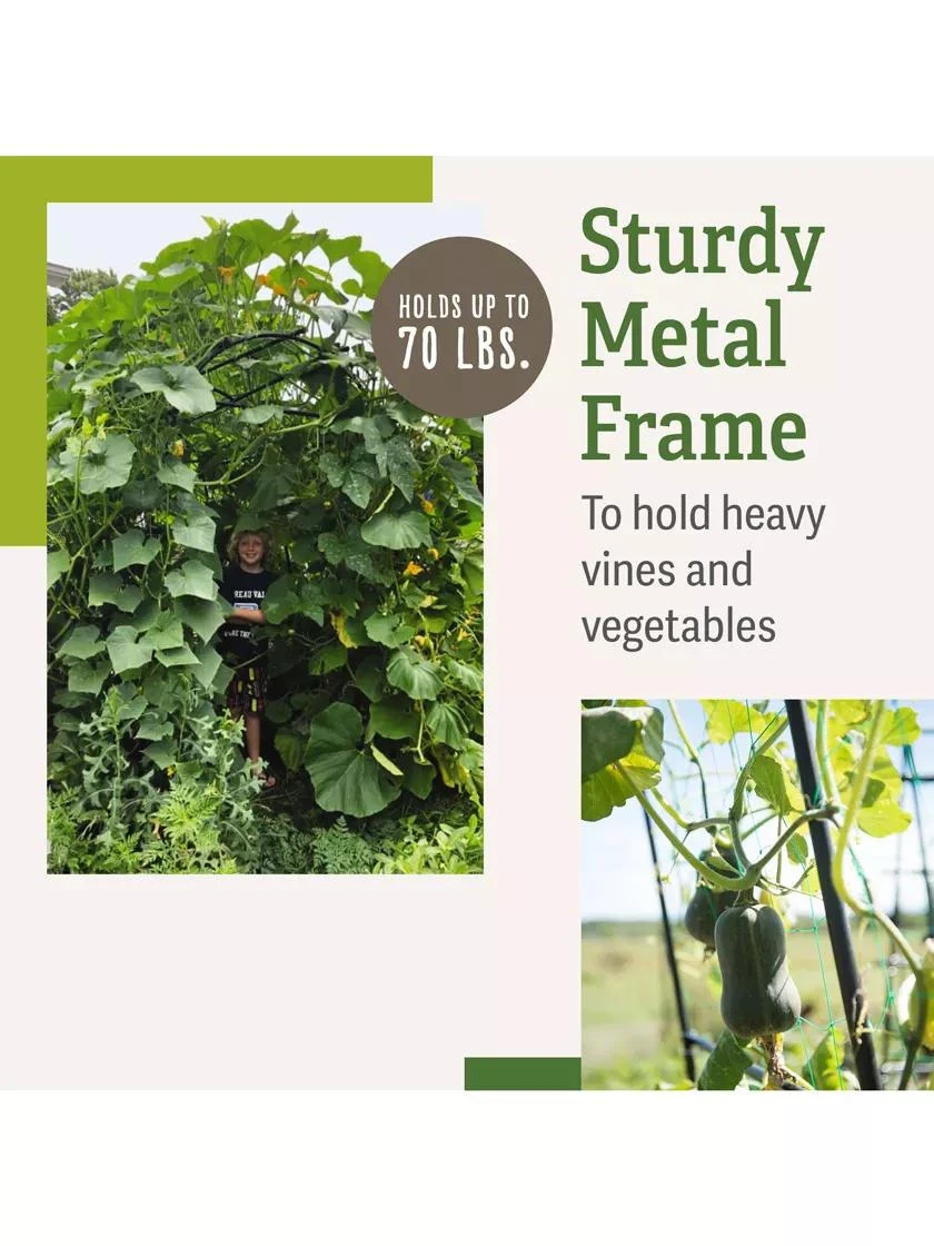 Titan Squash Tunnel - Image 3