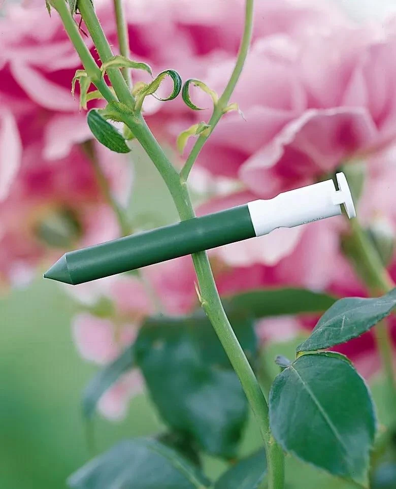 Garlic Clips, Set Of 25 - Image 2